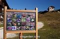 wbgarden alps 112